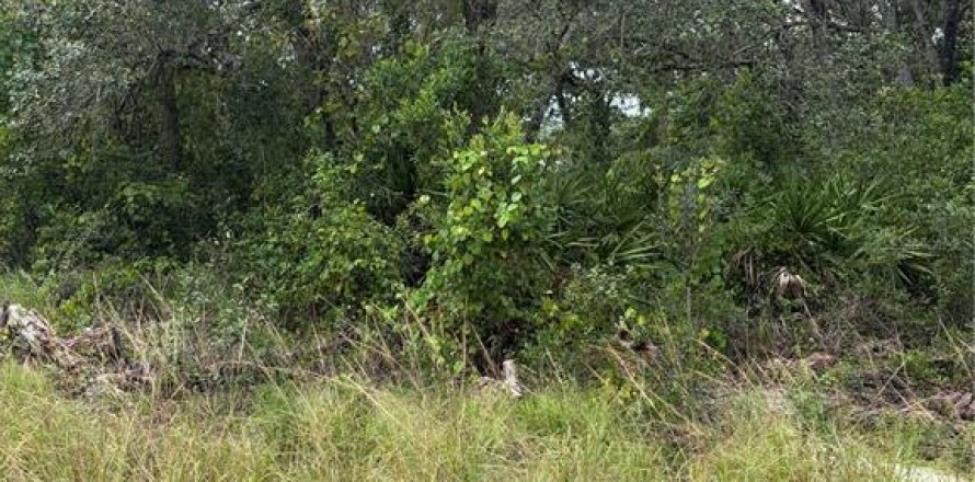 Land in New Port Richey, Florida № 2378160