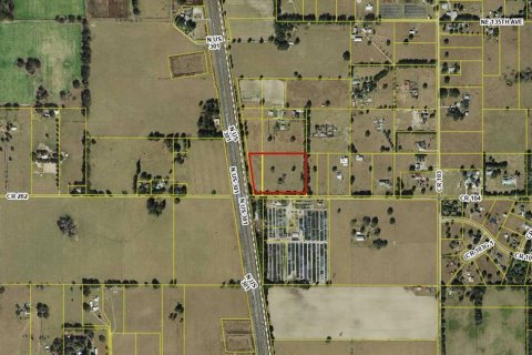 Land in Oxford, Florida № 1851280 - photo 3