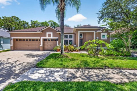 House in Tampa, Florida 3 bedrooms, 218.97 sq.m. № 2223205