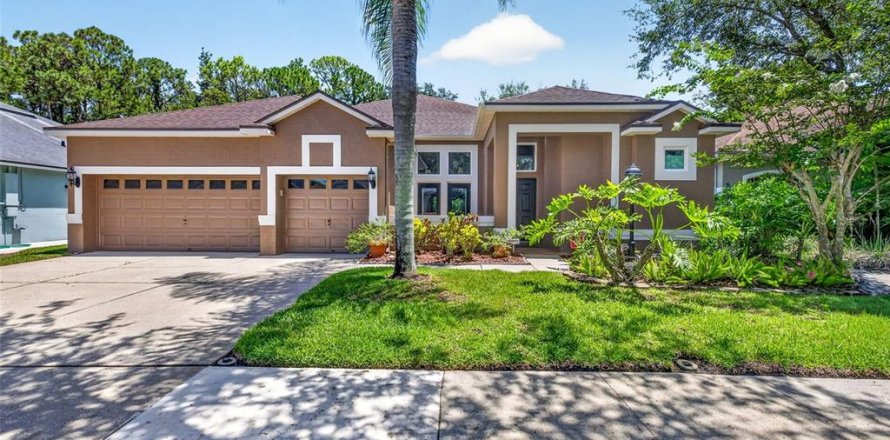 House in Tampa, Florida 3 bedrooms, 218.97 sq.m. № 2223205