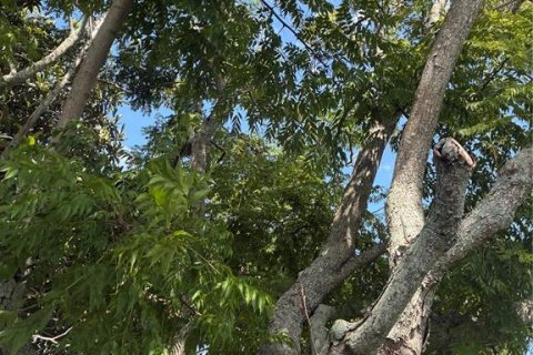 Villa ou maison à vendre à Palm Coast, Floride: 3 chambres, 149.67 m2 № 2223207 - photo 6
