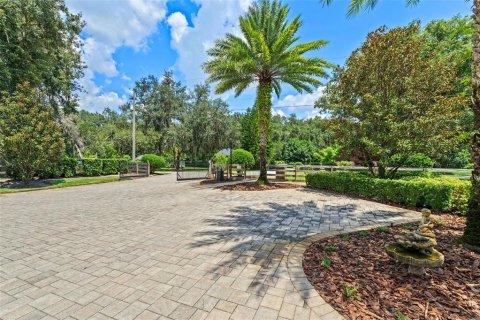Villa ou maison à vendre à Chuluota, Floride: 4 chambres, 431.9 m2 № 1905814 - photo 5