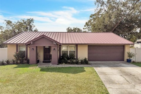 Casa en Seffner, Florida 6 dormitorios, 252.51 m2 № 2127975