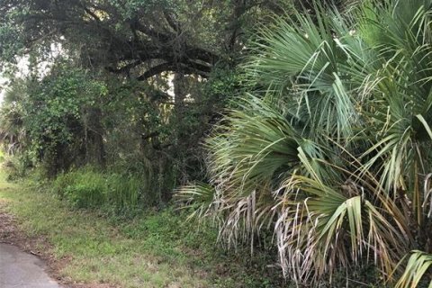 Land in North Port, Florida № 2200919 - photo 2
