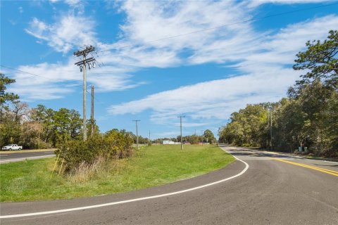 Propiedad comercial en venta en Hampton, Florida № 2166195 - foto 3