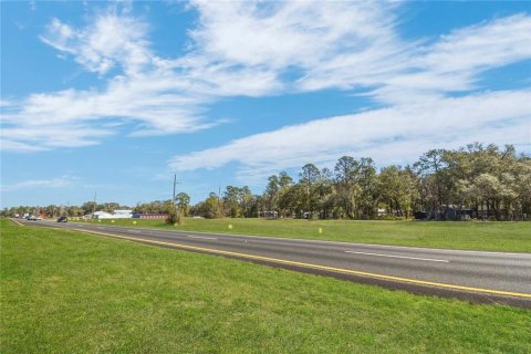Propiedad comercial en venta en Hampton, Florida № 2166195 - foto 2