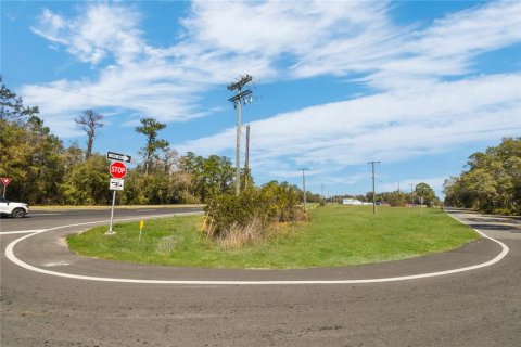 Propiedad comercial en venta en Hampton, Florida № 2166195 - foto 4