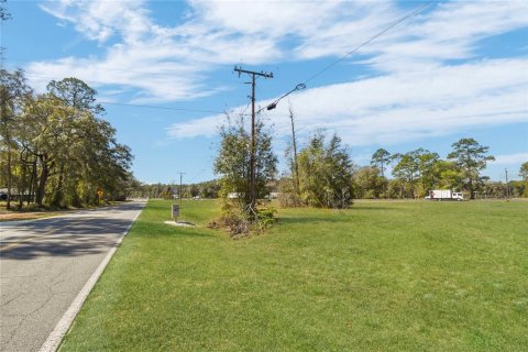 Propiedad comercial en venta en Hampton, Florida № 2166195 - foto 14