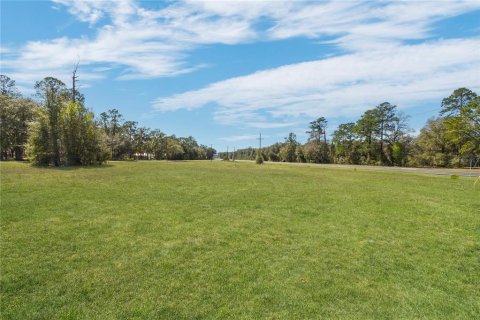 Propiedad comercial en venta en Hampton, Florida № 2166195 - foto 11