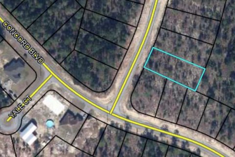 Land in Chipley, Florida № 2259044