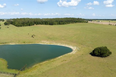 Terreno en venta en Dunnellon, Florida № 1688286 - foto 4