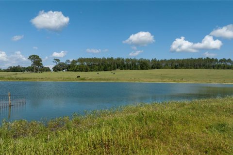 Terreno en venta en Dunnellon, Florida № 1688286 - foto 6
