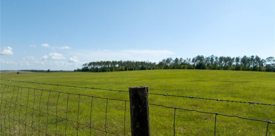 Terreno en Dunnellon, Florida № 1688286