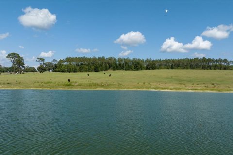 Terreno en venta en Dunnellon, Florida № 1688286 - foto 7