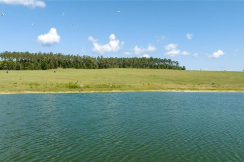 Terreno en venta en Dunnellon, Florida № 1688286 - foto 2