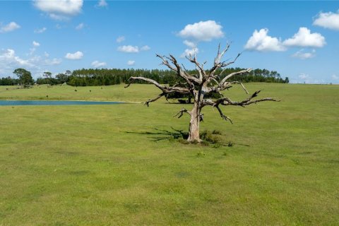 Terreno en venta en Dunnellon, Florida № 1688286 - foto 8