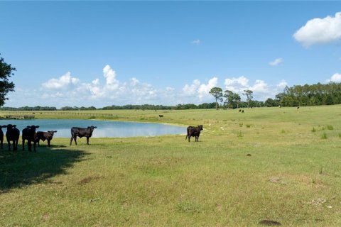Terreno en venta en Dunnellon, Florida № 1688286 - foto 5