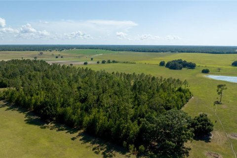 Terreno en venta en Dunnellon, Florida № 1688286 - foto 15
