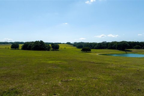 Terreno en venta en Dunnellon, Florida № 1688286 - foto 3