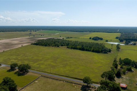 Terreno en venta en Dunnellon, Florida № 1688286 - foto 14