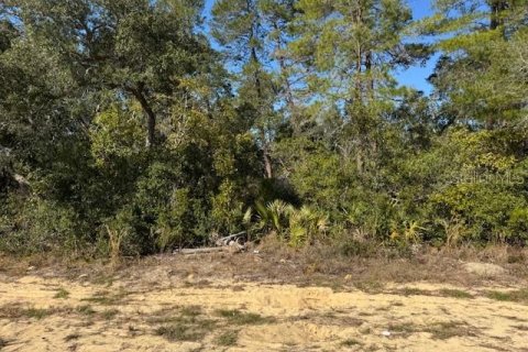 Land in Ocala, Florida № 1535554 - photo 2