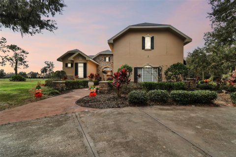 House in Fish Hawk, Florida 6 bedrooms, 434.23 sq.m. № 1446817 - photo 1