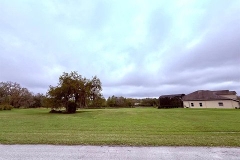 Land in Kissimmee, Florida № 1526165 - photo 7
