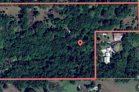 Land in Dade City, Florida № 1722528 - photo 1