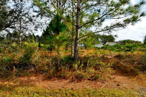 Land in North Port, Florida № 2161503 - photo 3