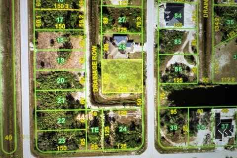 Land in Port Charlotte, Florida № 2165574 - photo 2