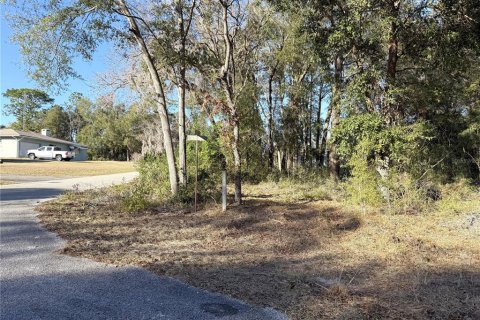 Land in Williston, Florida № 2228607 - photo 3