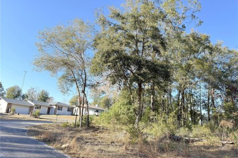 Land in Williston, Florida № 2228607 - photo 2