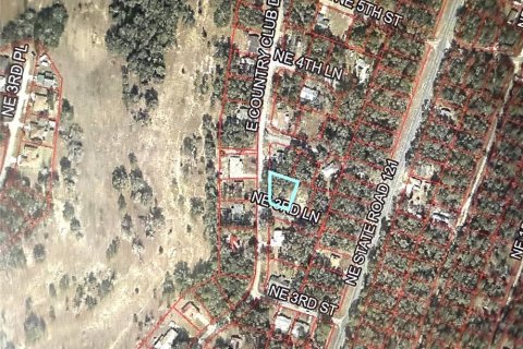 Land in Williston, Florida № 2228607 - photo 6