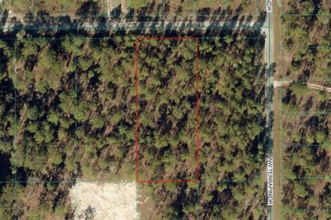 Terreno en venta en Dunnellon, Florida № 2164068 - foto 3
