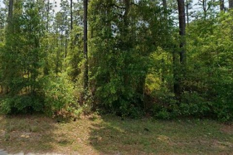 Terreno en venta en Dunnellon, Florida № 2164068 - foto 2
