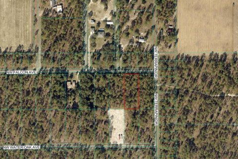 Terreno en Dunnellon, Florida № 2164068