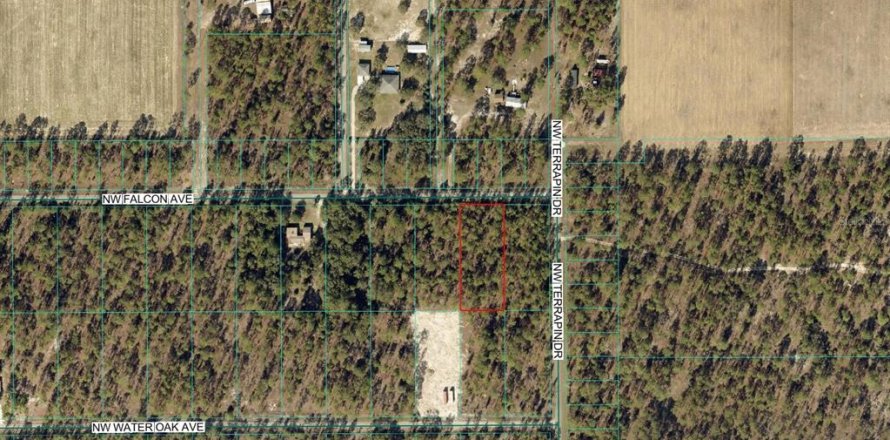 Terreno en Dunnellon, Florida № 2164068