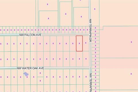 Terreno en venta en Dunnellon, Florida № 2164068 - foto 4