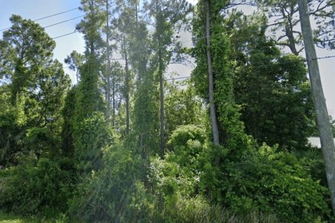 Terreno en venta en Saint Augustine, Florida № 1909392 - foto 3