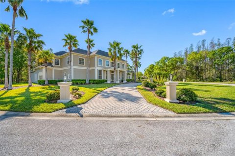 Villa ou maison à vendre à Lutz, Floride: 5 chambres, 543.66 m2 № 1617880 - photo 2