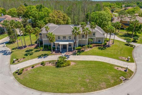 Villa ou maison à vendre à Lutz, Floride: 5 chambres, 543.66 m2 № 1617880 - photo 3