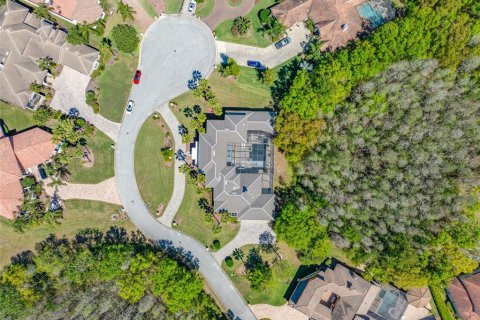 Villa ou maison à vendre à Lutz, Floride: 5 chambres, 543.66 m2 № 1617880 - photo 6