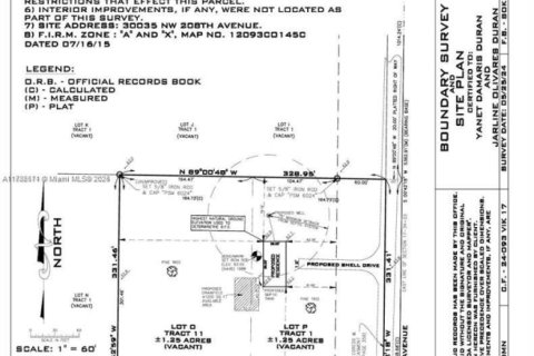 Land in Okeechobee, Florida № 1875303 - photo 4