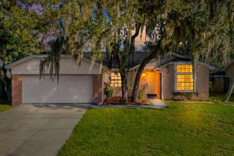 House in Riverview, Florida 3 bedrooms, 130.62 sq.m. № 2431954