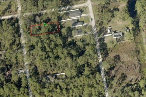 Land in DeLand, Florida № 2349710