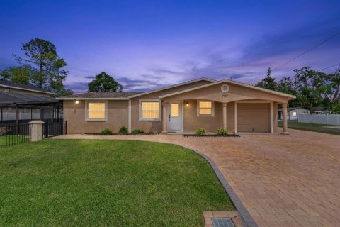 House in Tampa, Florida 5 bedrooms, 212.93 sq.m. № 2200062
