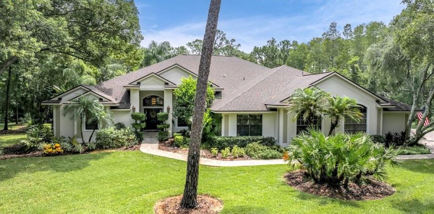 Villa ou maison à New Port Richey, Floride 6 chambres, 478.54 m2 № 2258228