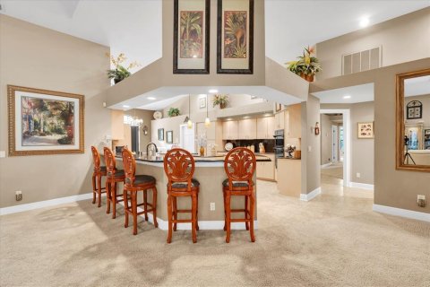 Villa ou maison à vendre à New Port Richey, Floride: 6 chambres, 478.54 m2 № 2258228 - photo 20