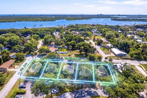 Land in New Smyrna Beach, Florida № 2222101