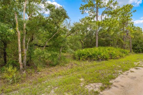Terreno en venta en Weeki Wachee, Florida № 1816193 - foto 1